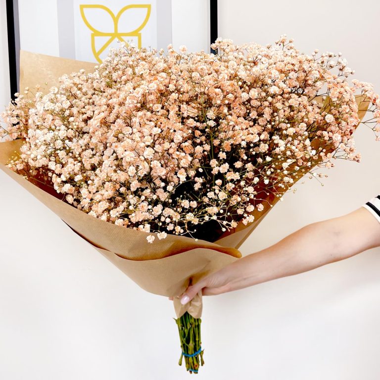 Gipsówka żywa gotowy bukiet pomarańczowy duży