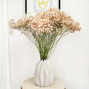 Gipsówka żywa gotowy bukiet pomarańczowy duży