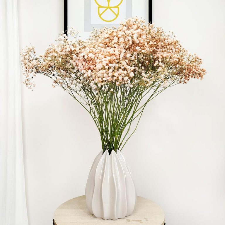 Gipsówka żywa gotowy bukiet pomarańczowy duży