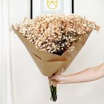 Gipsówka żywa gotowy bukiet pomarańczowy duży