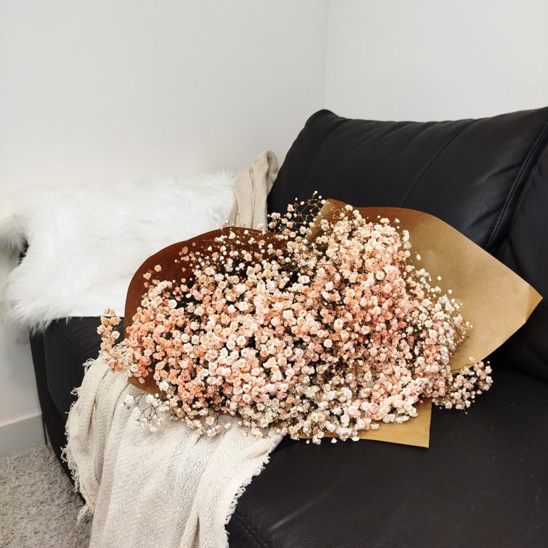 Gipsówka żywa gotowy bukiet pomarańczowy duży