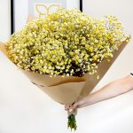 Gipsówka żywa gotowy bukiet żółty duży