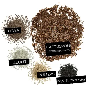 Podłoże do kaktusów LECHUZA CACTUSPON