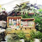 Plant Lover w 100% organiczny nawóz - Pa, pa ziemiórki! 300ml