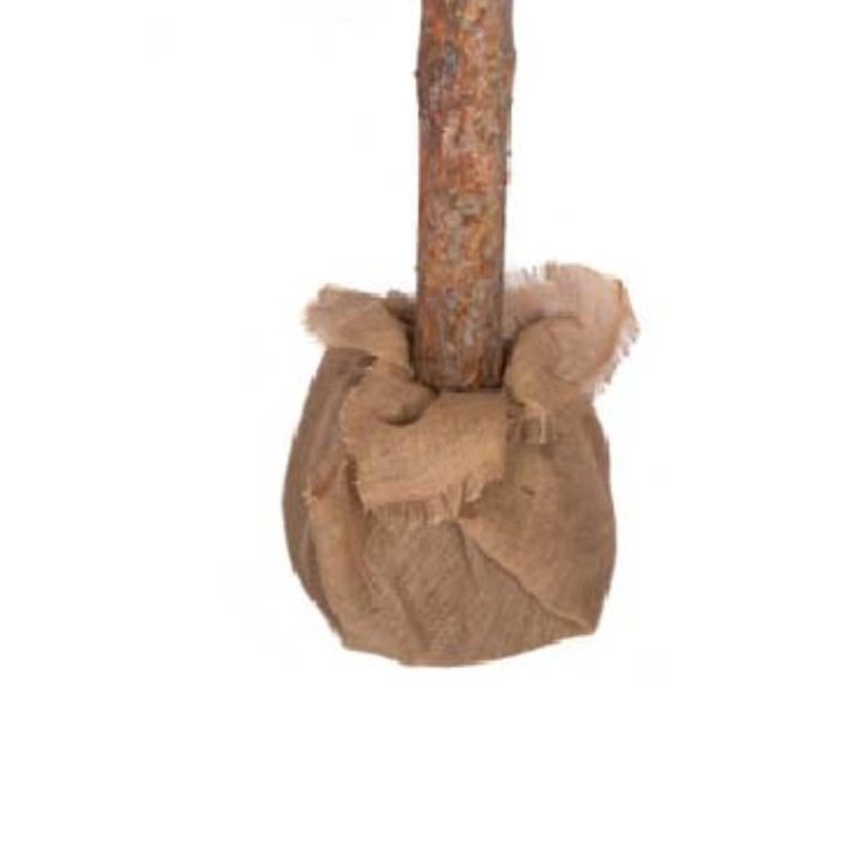 Choinka sztuczna Sosna Baltica Klasyczna na Pniu Drzewko bożonarodzeniowe 150cm