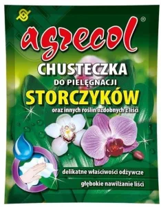 Chusteczki do storczyków oraz innych roślin ozdobnych z liści