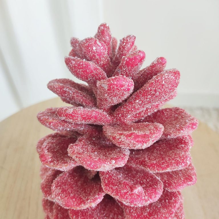 Szyszka naturalna woskowana zdobiona duża