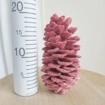 Szyszka naturalna woskowana zdobiona duża