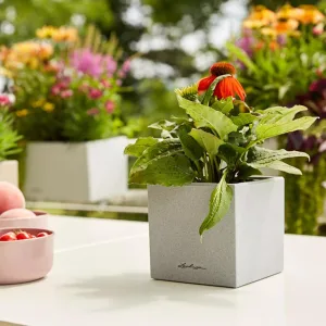 Doniczka plastikowa Lechuza Canto Stone Mini Biała