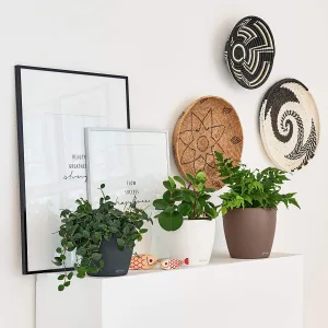 Doniczka plastikowa Lechuza Classico Color Biała