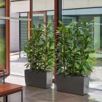 Doniczka plastikowa Lechuza Cararo czerwona