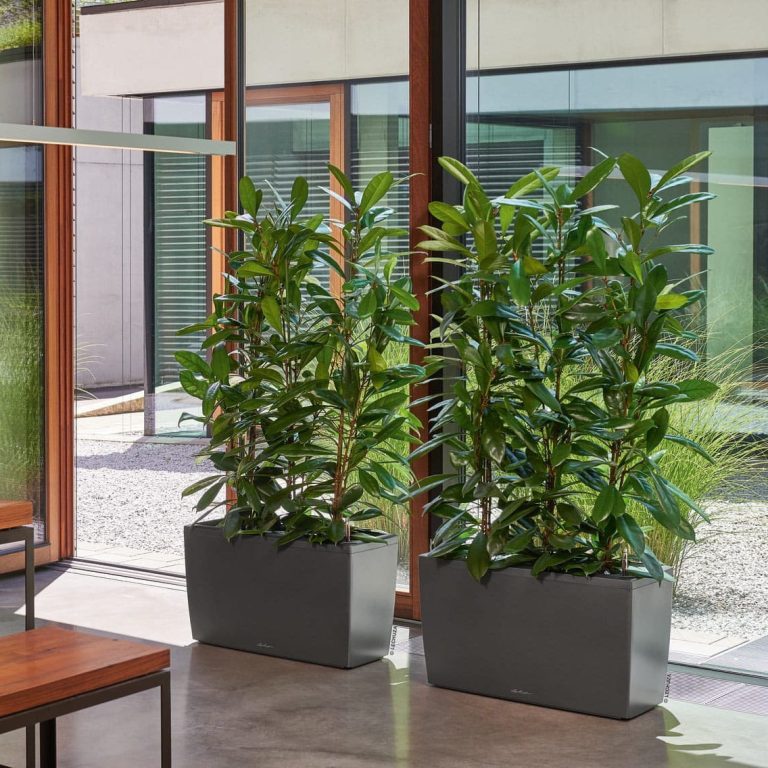 Doniczka plastikowa Lechuza Cararo biała