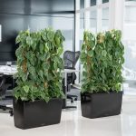 Doniczka plastikowa Lechuza Cararo czarny