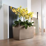 Doniczka plastikowa Lechuza Cararo czerwona