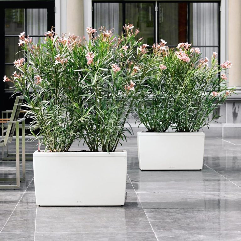 Doniczka plastikowa Lechuza Cararo szary