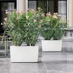 Doniczka plastikowa Lechuza Cararo antracytowa