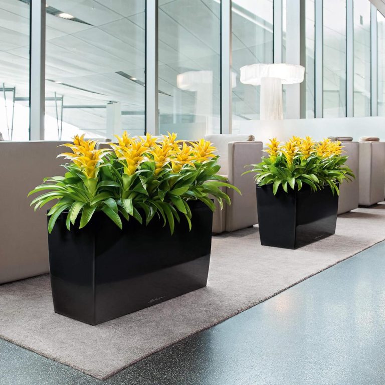 Doniczka plastikowa Lechuza Cararo taupe