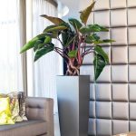 Doniczka plastikowa Lechuza Alto Srebrny