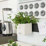 Doniczka plastikowa Lechuza  Cube Color Home Kit biały