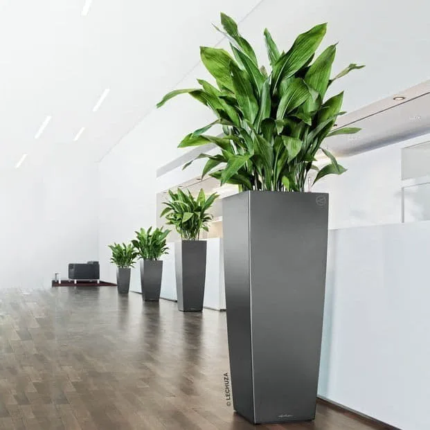 Doniczka plastikowa Lechuza Alto Antracytowa