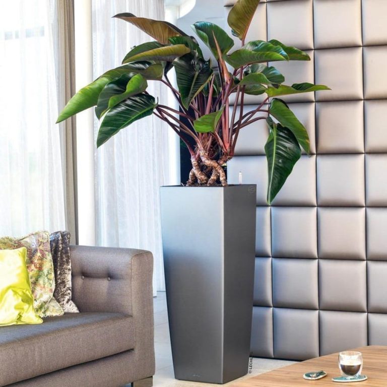 Doniczka plastikowa Lechuza Alto Antracytowa