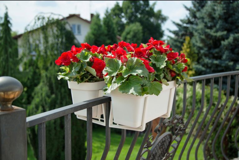 Dwustronny uchwyt do doniczek balkonowych – ecri