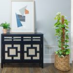 Epipremnum złociste (Epipremnum aureum) 125cm