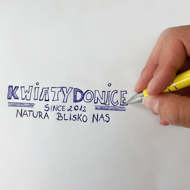 Elegancki długopis z klipsem