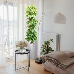 Epipremnum złociste (Epipremnum aureum) 125cm