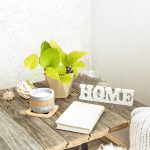 Epipremnum złociste (Epipremnum 'Neon Golden Pothos') 15cm