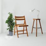 Fikus beniamiński (Ficus benjamina 'Danielle') 100cm