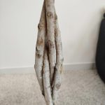 Fikus tępy (Ficus microcarpa 'Nitida') 125cm