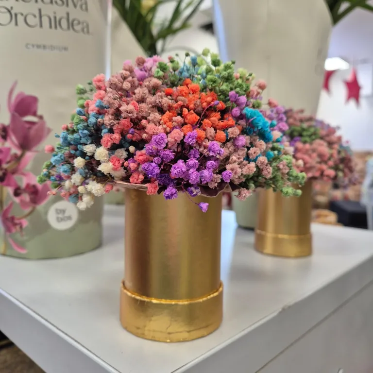 Gipsówka stabilizowana wiecznie żywa flower box