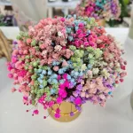 Gipsówka stabilizowana wiecznie żywa flower box