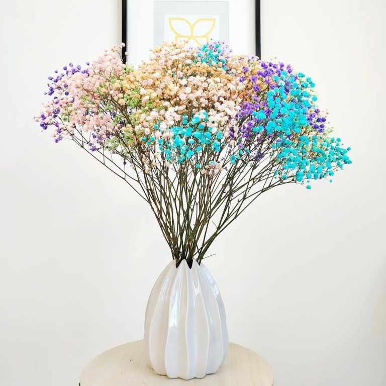 Gipsówka stabilizowana wiecznie żywa mix kolorów duży bukiet