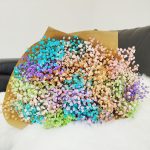 Gipsówka stabilizowana wiecznie żywa mix kolorów duży bukiet