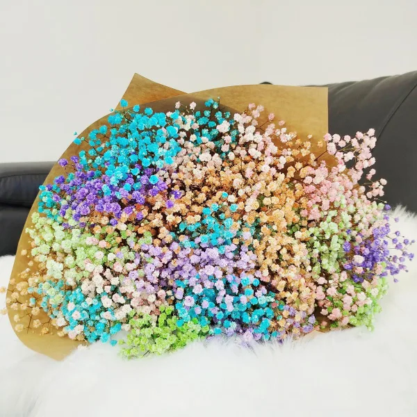 Gipsówka stabilizowana wiecznie żywa kolorowa duży bukiet