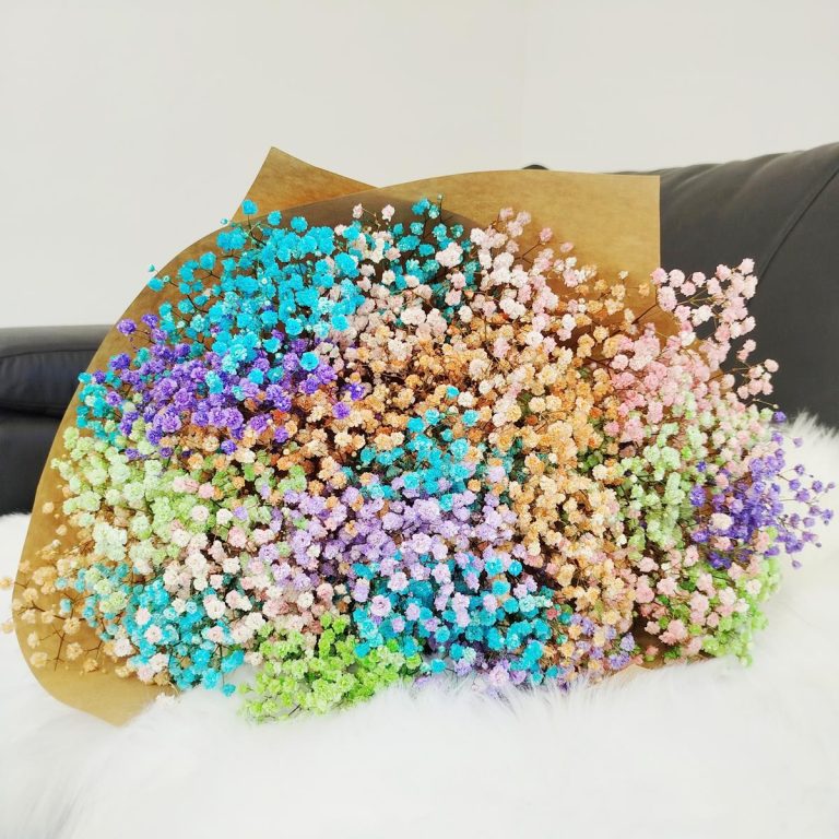 Gipsówka stabilizowana wiecznie żywa mix kolorów duży bukiet