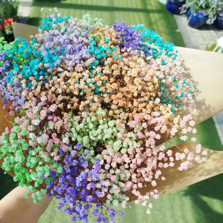 Gipsówka stabilizowana wiecznie żywa mix kolorów duży bukiet