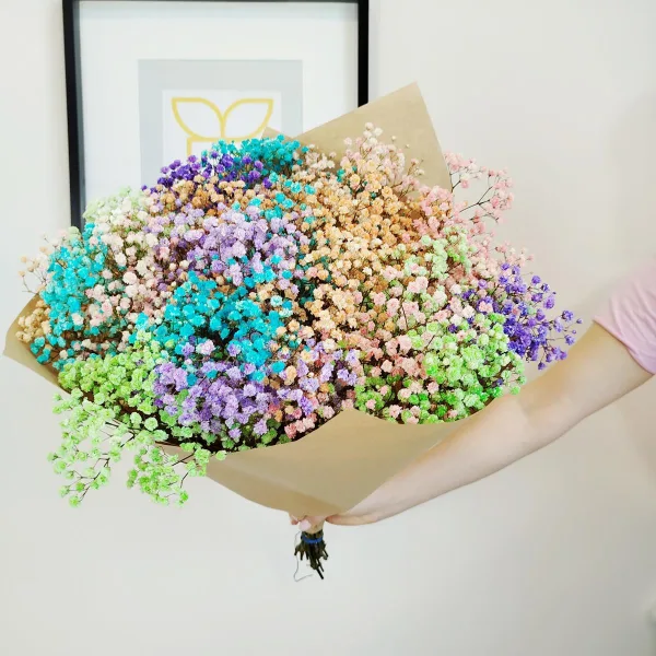 Gipsówka stabilizowana wiecznie żywa kolorowa duży bukiet