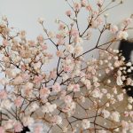 Gipsówka stabilizowana wiecznie żywa różowa mały bukiet