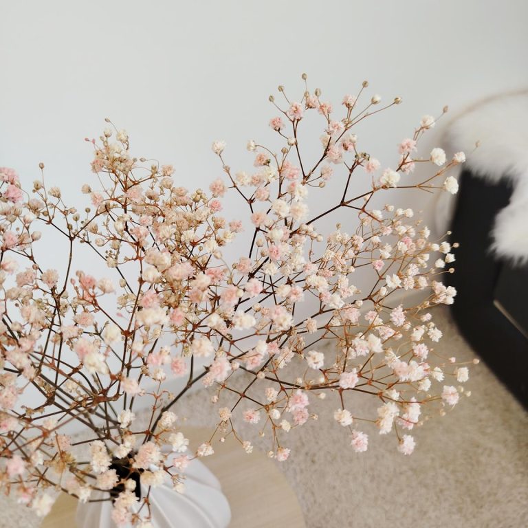 Gipsówka stabilizowana wiecznie żywa różowa mały bukiet