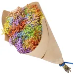 Gipsówka stabilizowana wiecznie żywa kolorowa duży bukiet