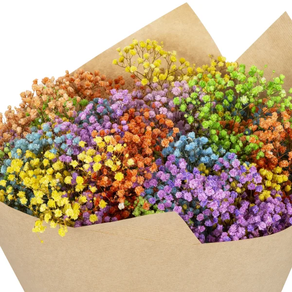 Gipsówka stabilizowana wiecznie żywa kolorowa duży bukiet