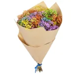 Gipsówka stabilizowana wiecznie żywa kolorowa duży bukiet