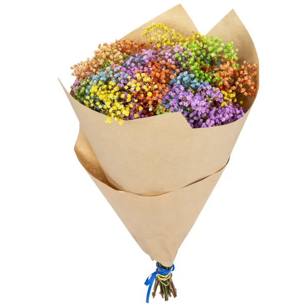 Gipsówka stabilizowana wiecznie żywa kolorowa duży bukiet