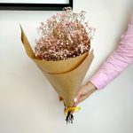 Gipsówka suszona różowa