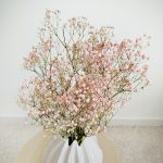 Gipsówka suszona różowa