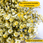 Gipsówka stabilizowana wiecznie żywa żółta duży bukiet