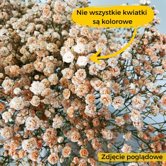 Gipsówka stabilizowana wiecznie żywa pomarańczowa duży bukiet